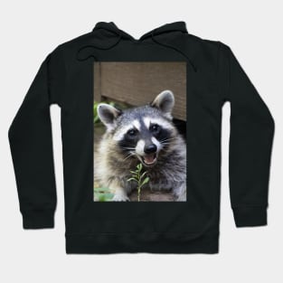 Smiling Raccoon! Hoodie